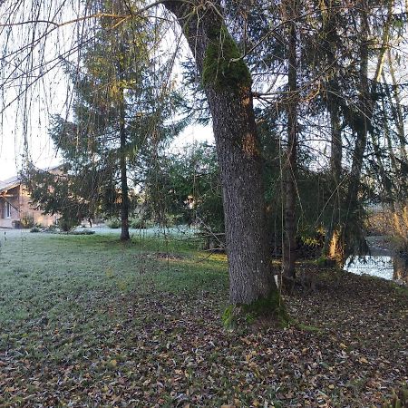 Gite Des Viviers -08400 Manre - De 1 A 2 Personnes Kültér fotó